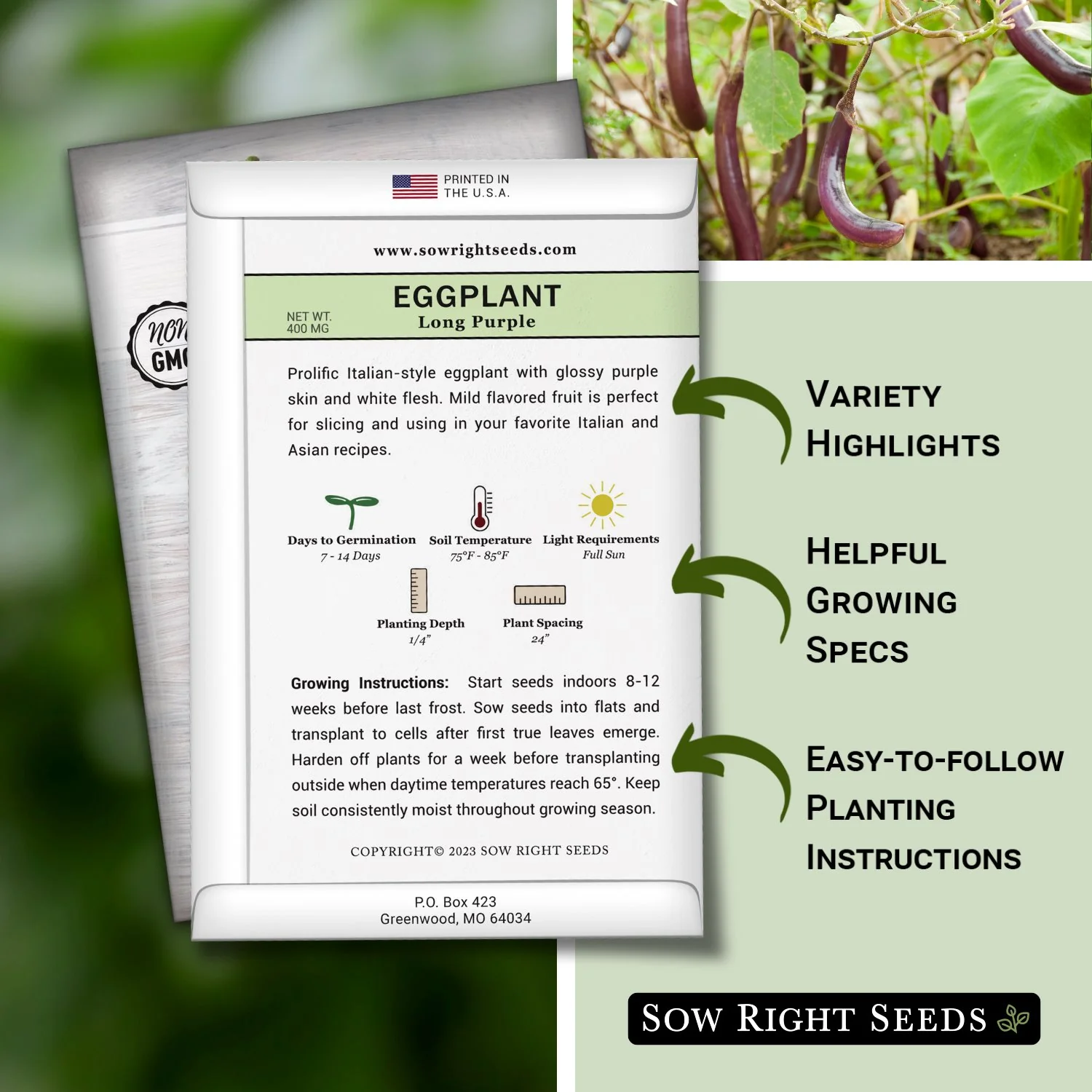 Long Purple Eggplant