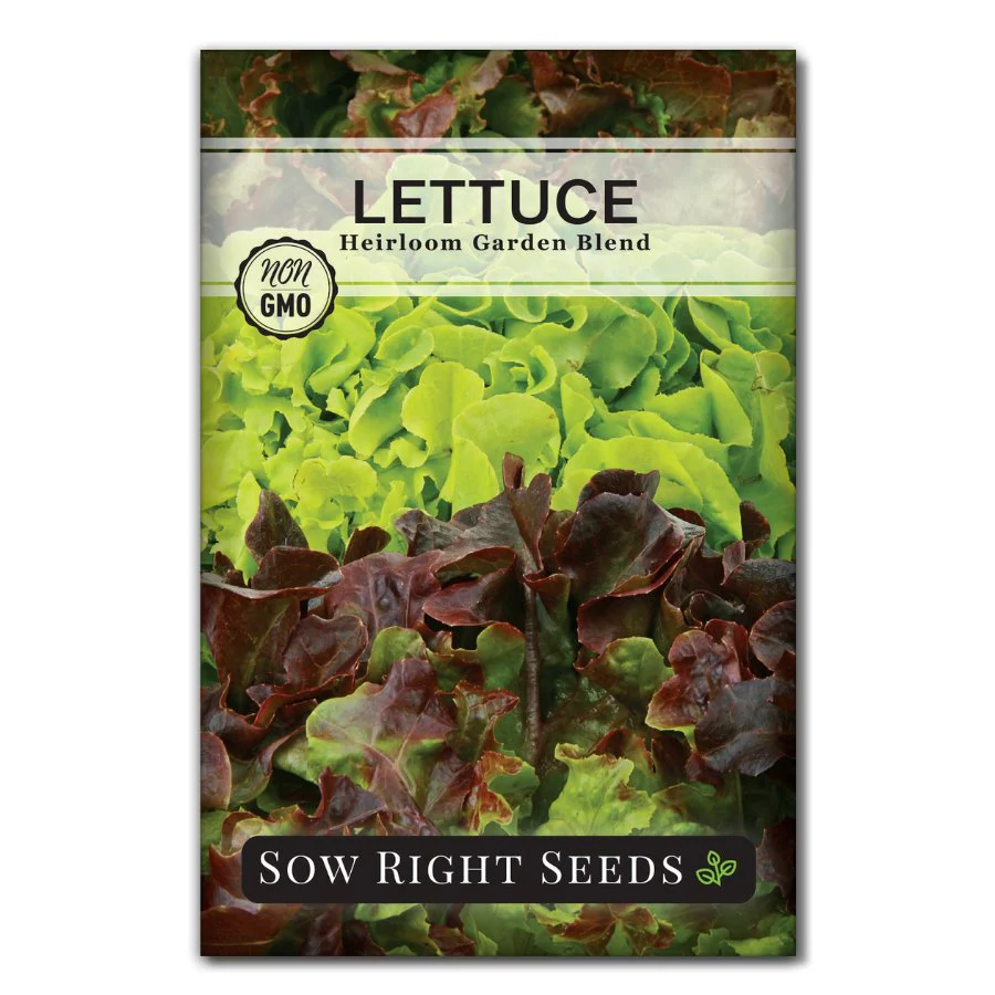 Heirloom Blend Lettuce