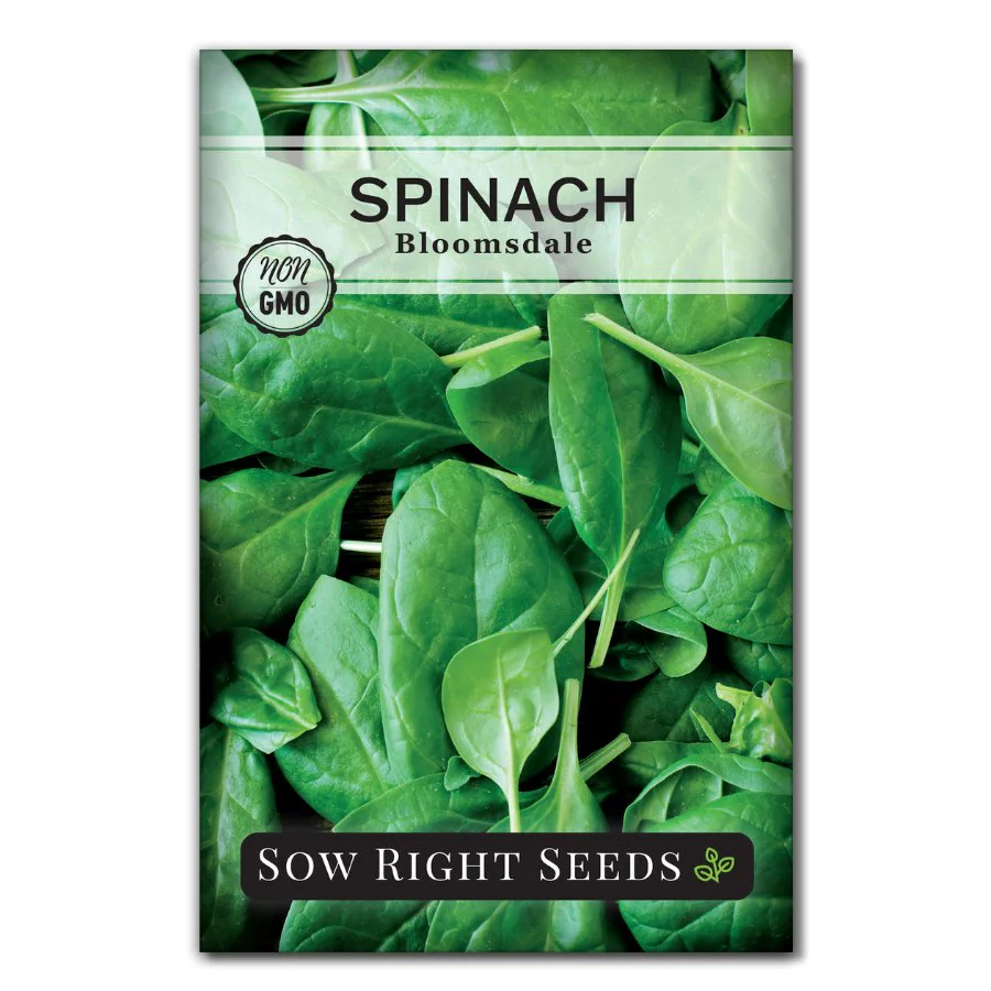 Bloomsdale Spinach Seeds