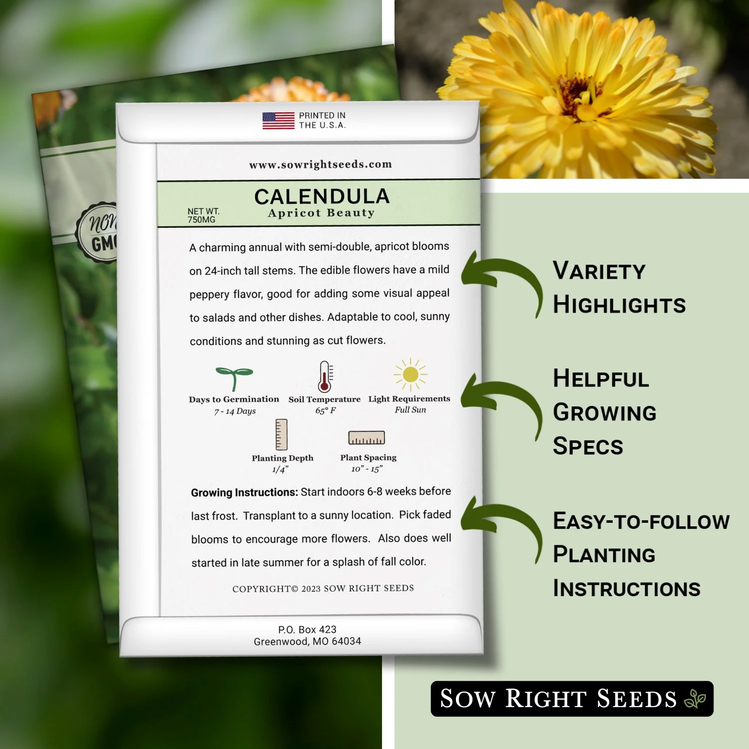Apricot Beauty Calendula