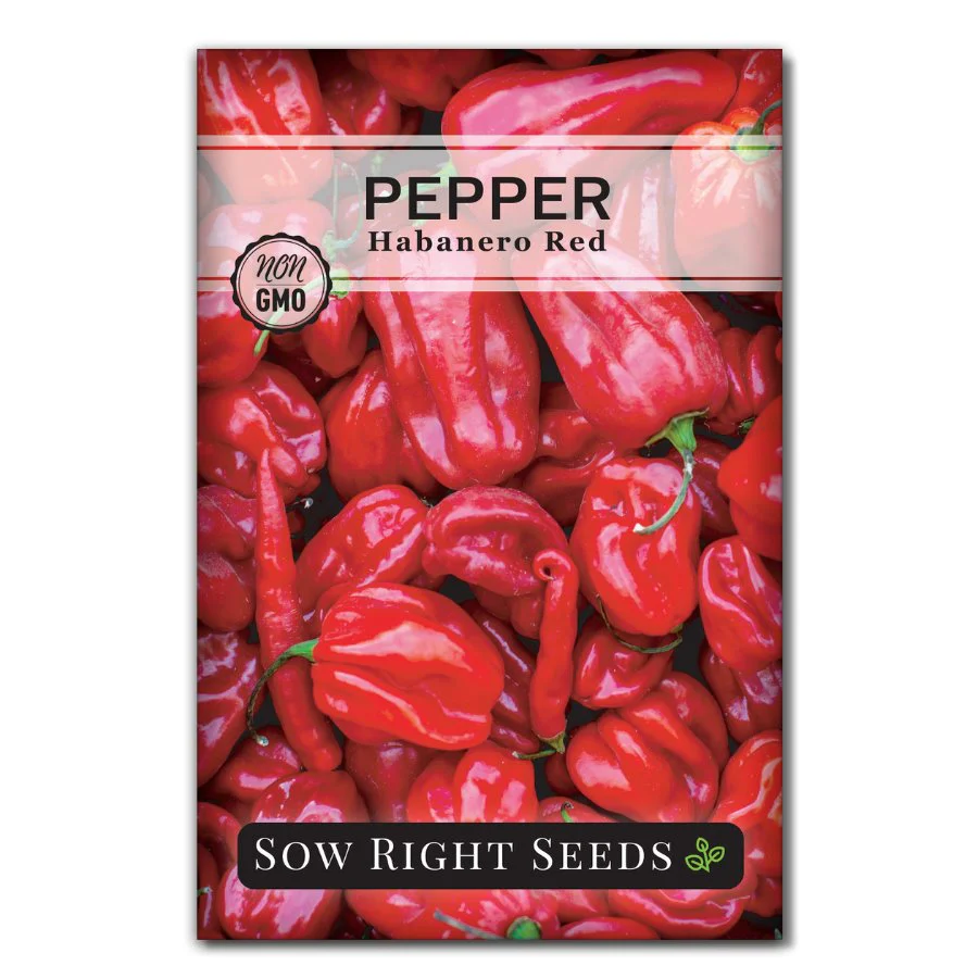 Habanero Red Pepper Seeds