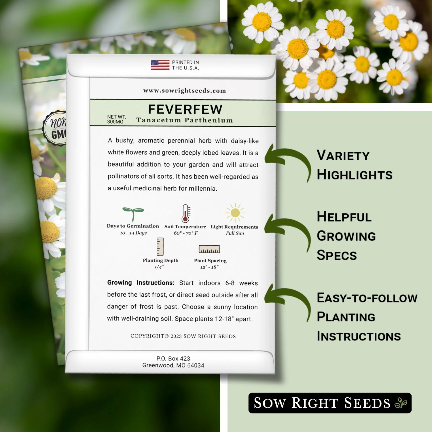 Feverfew