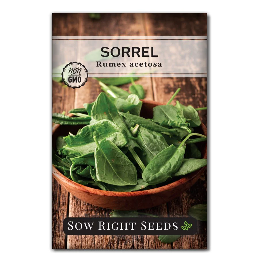Sorrel
