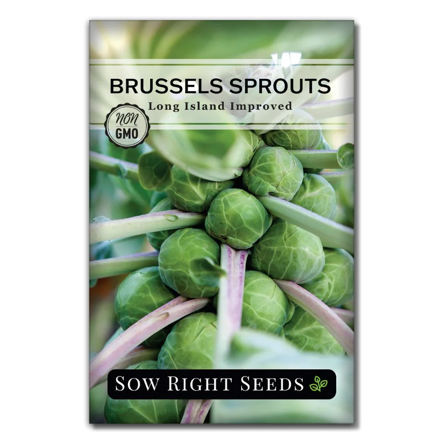 Long Island Improved Brussels Sprouts