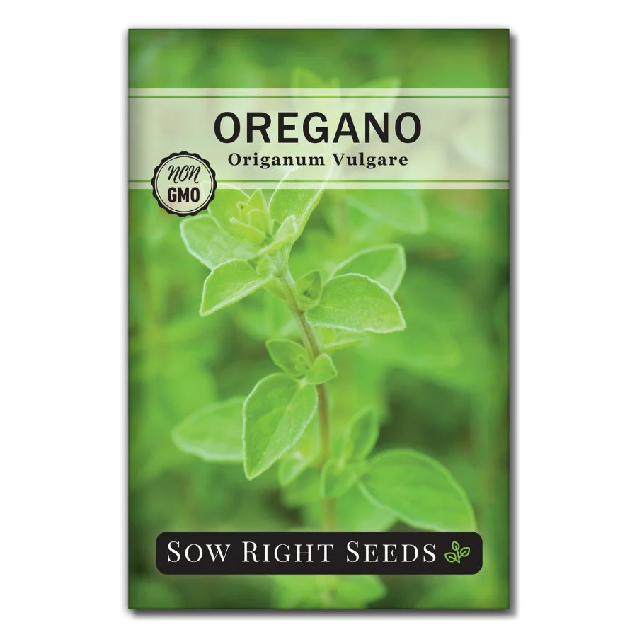 Oregano