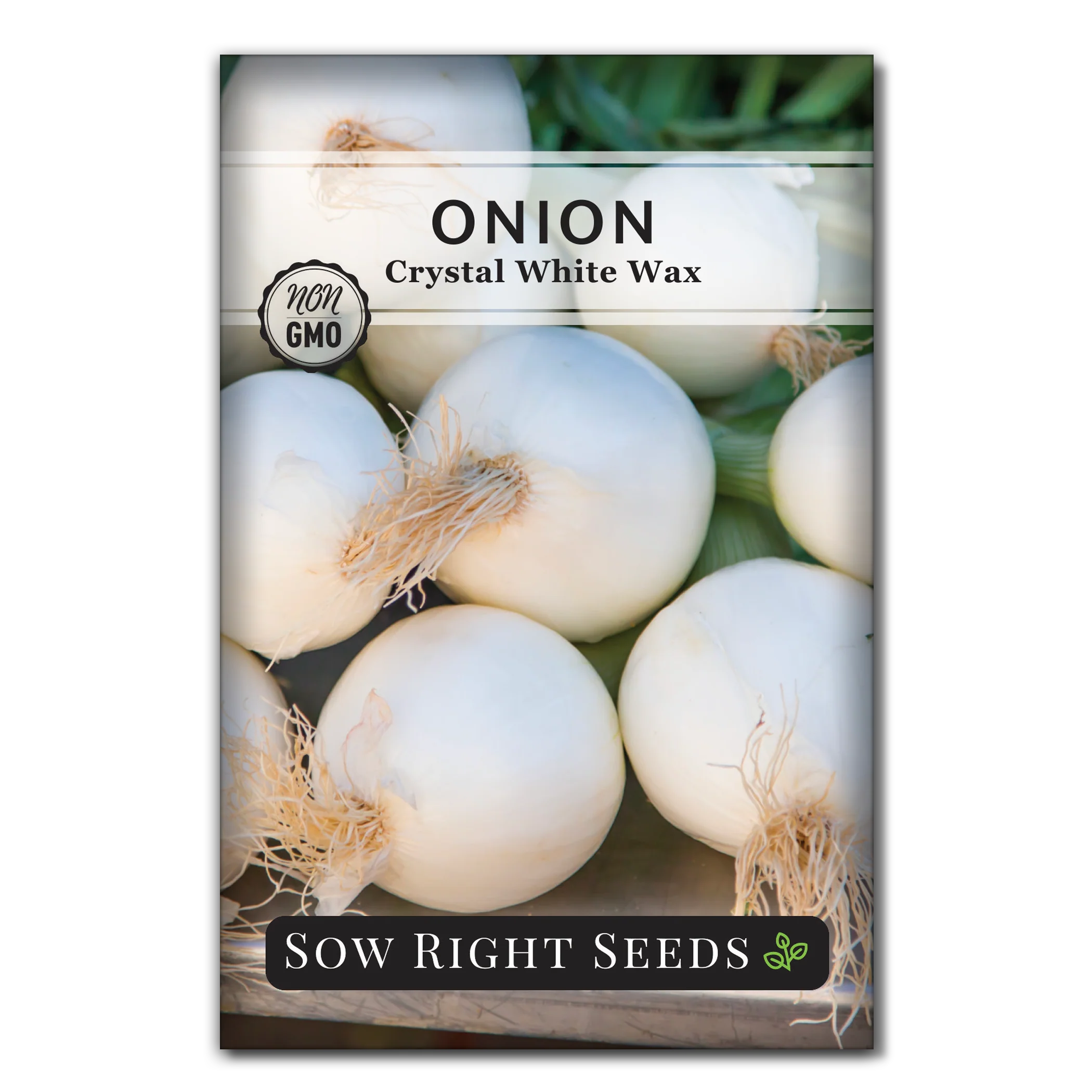 Crystal White Wax Onion