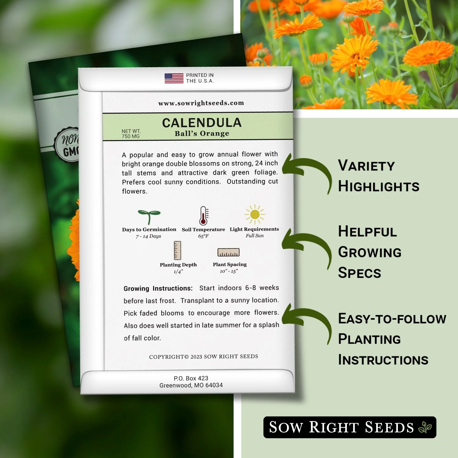 Ball's Orange Calendula