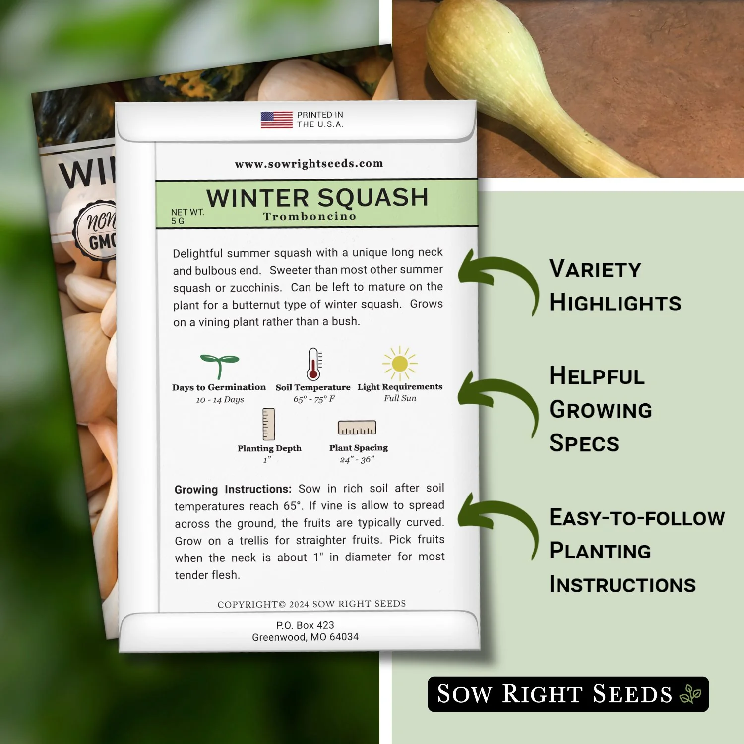 Tromboncino 'Rampicante' Squash