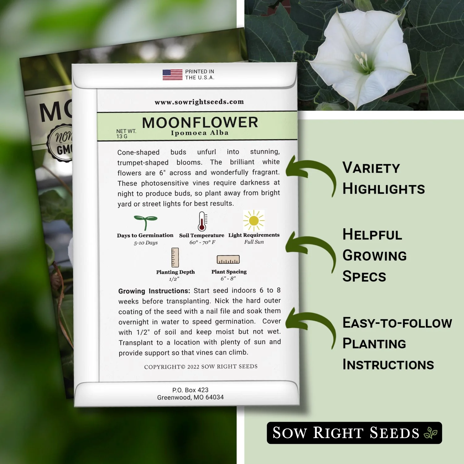 Moonflower Seeds