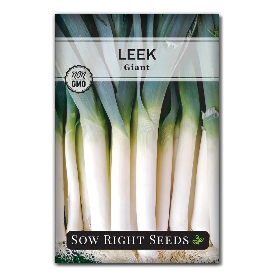 Giant Leek