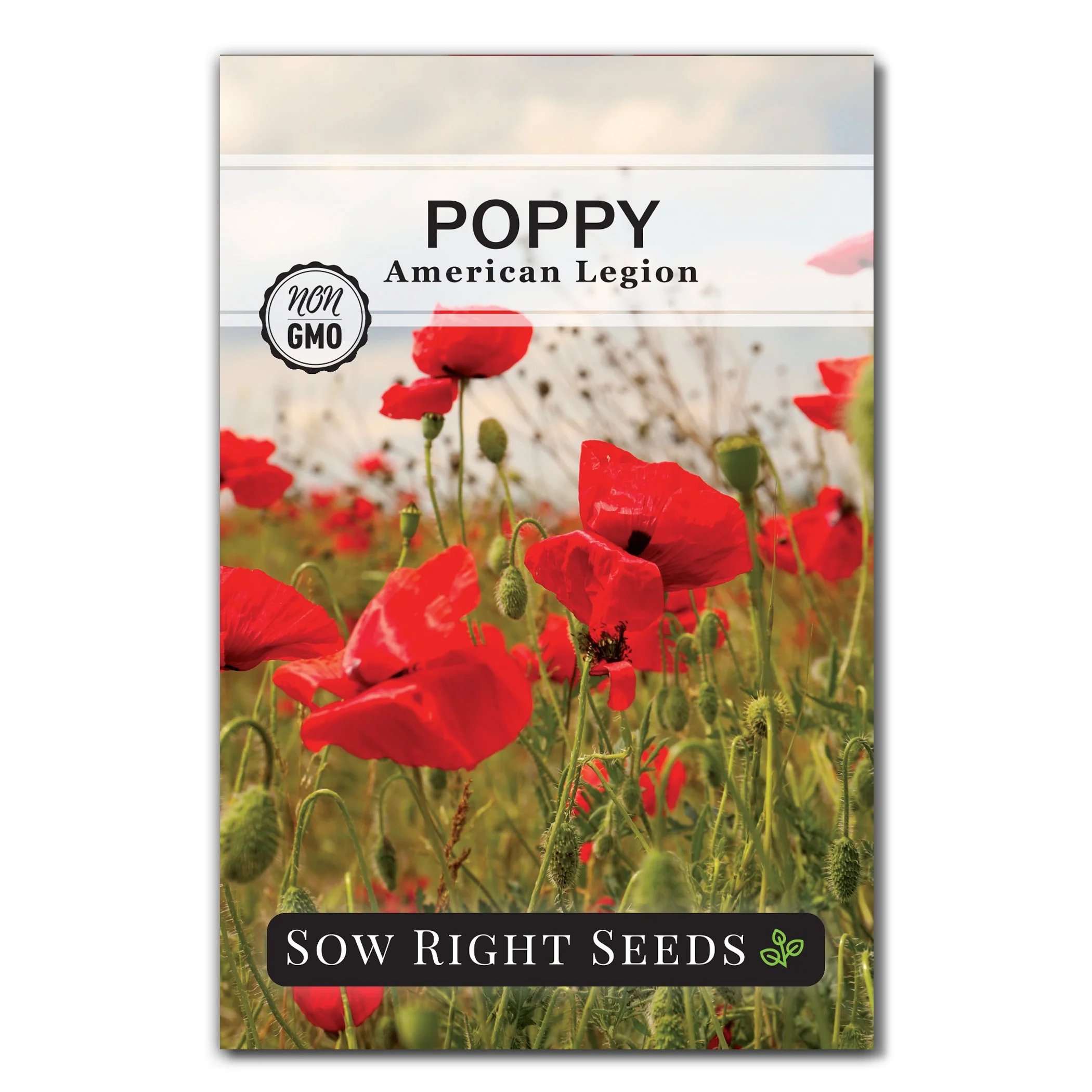 American Legion Poppy Seeds