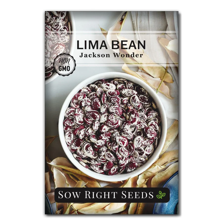 Jackson Wonder Lima Bean Seeds