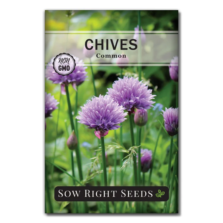 Common Chives