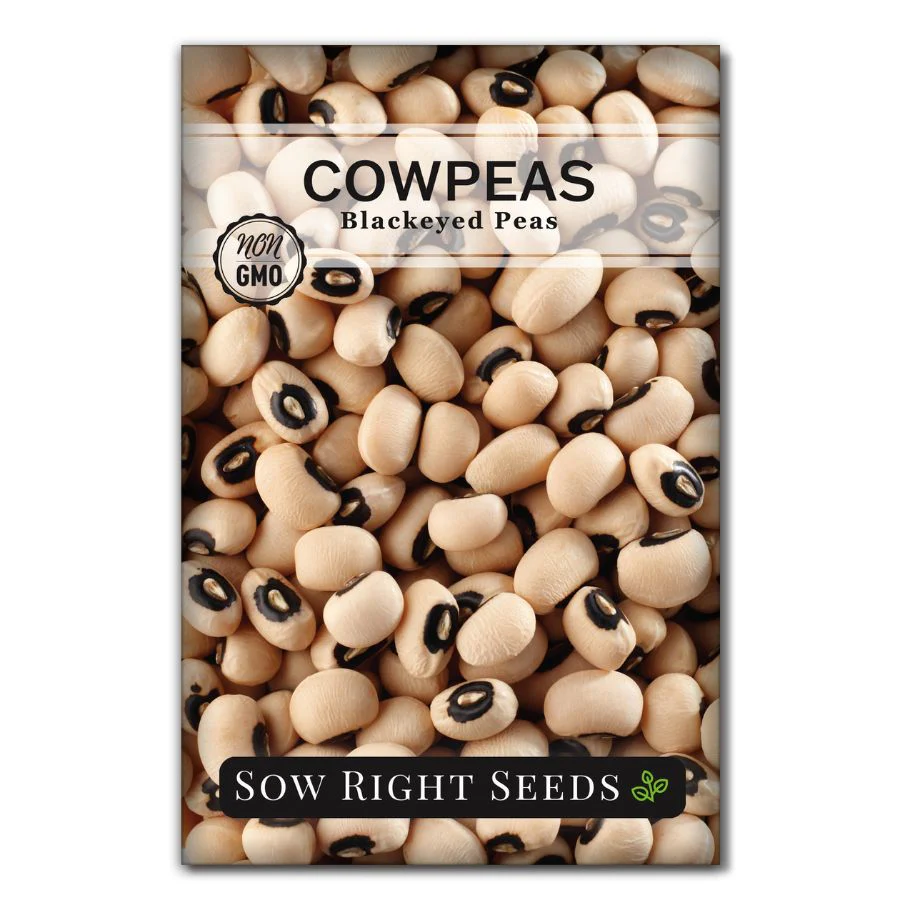 Black-Eyed Cowpea