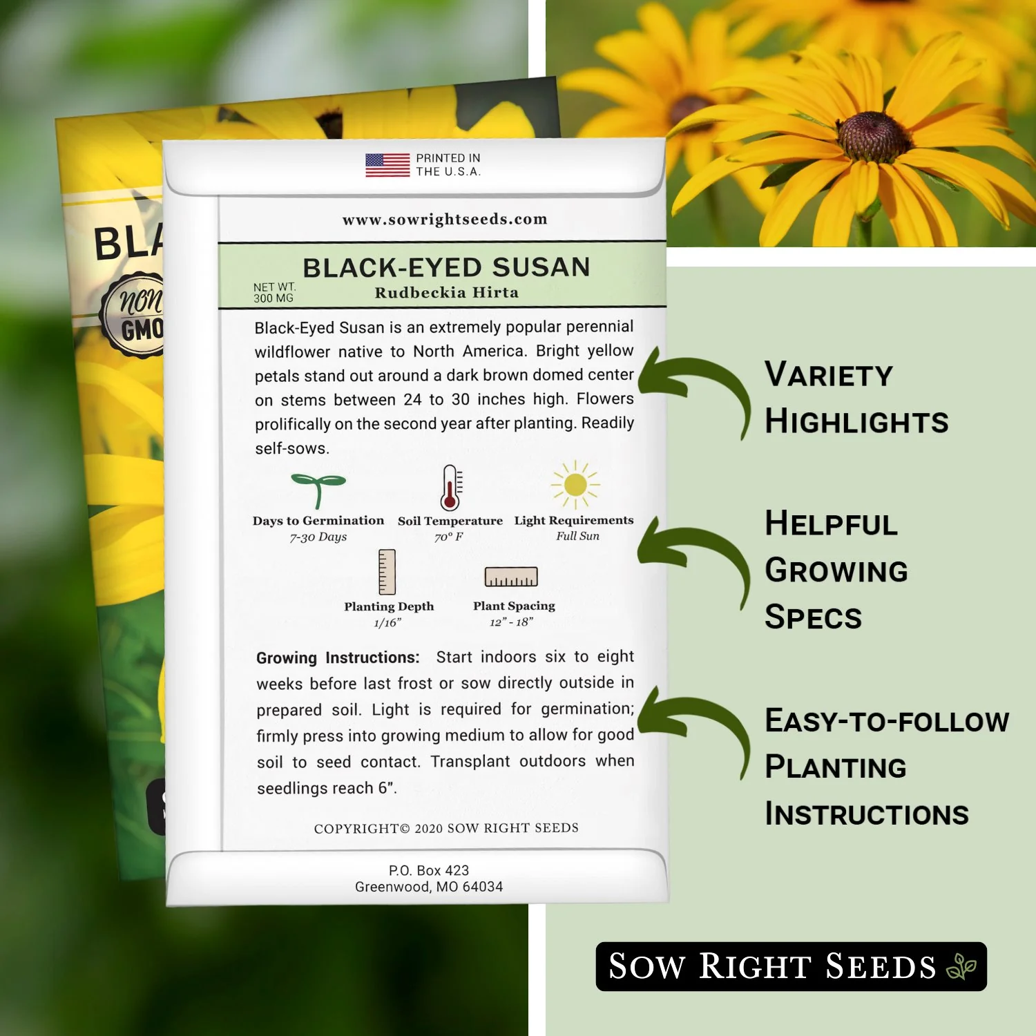 Black-Eyed Susan Seeds