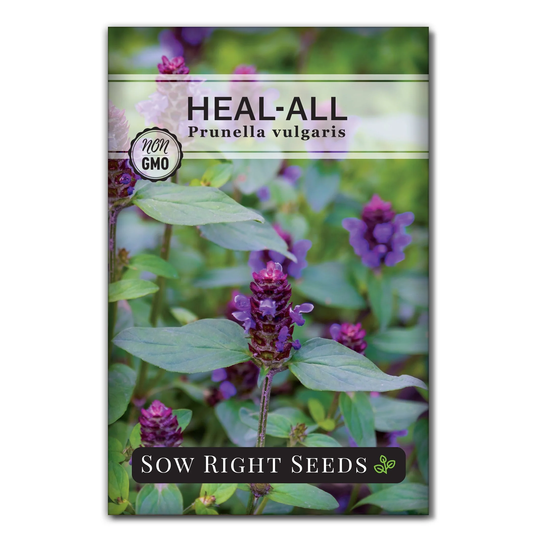 Heal-all Seeds