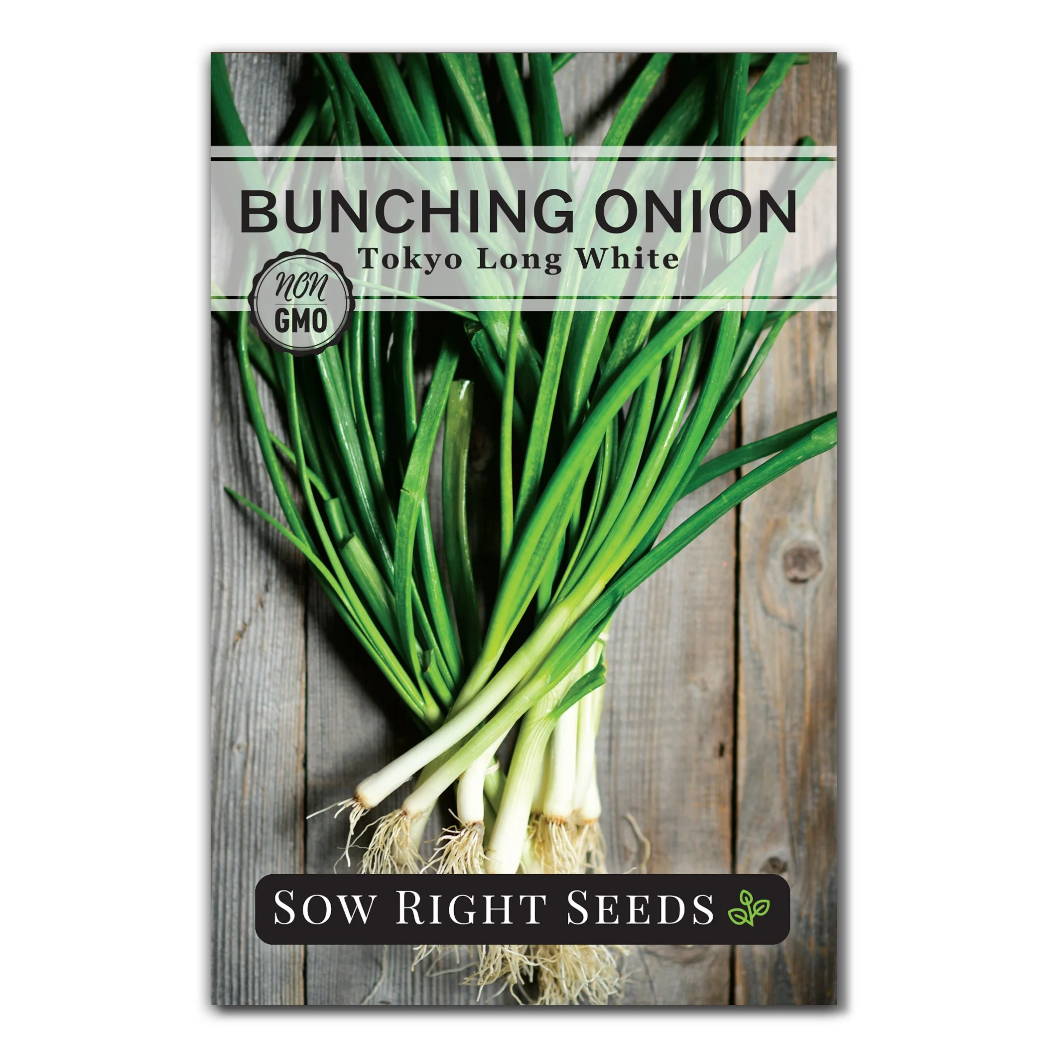 Tokyo Long White Bunching Onion Seeds