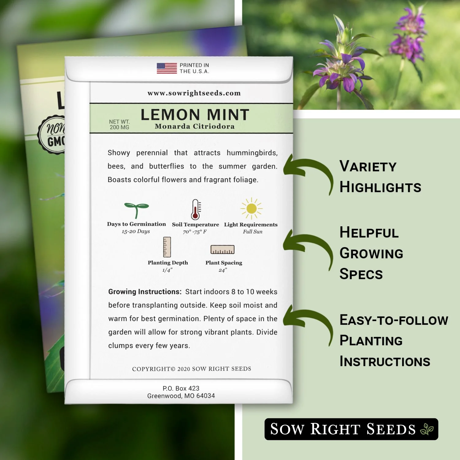Lemon Mint