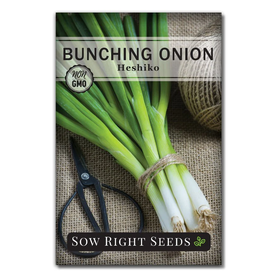 Heshiko Japanese Bunching Onion Seeds
