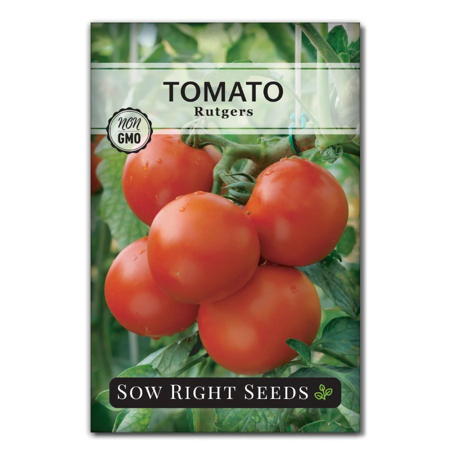 Rutgers Tomato Seeds