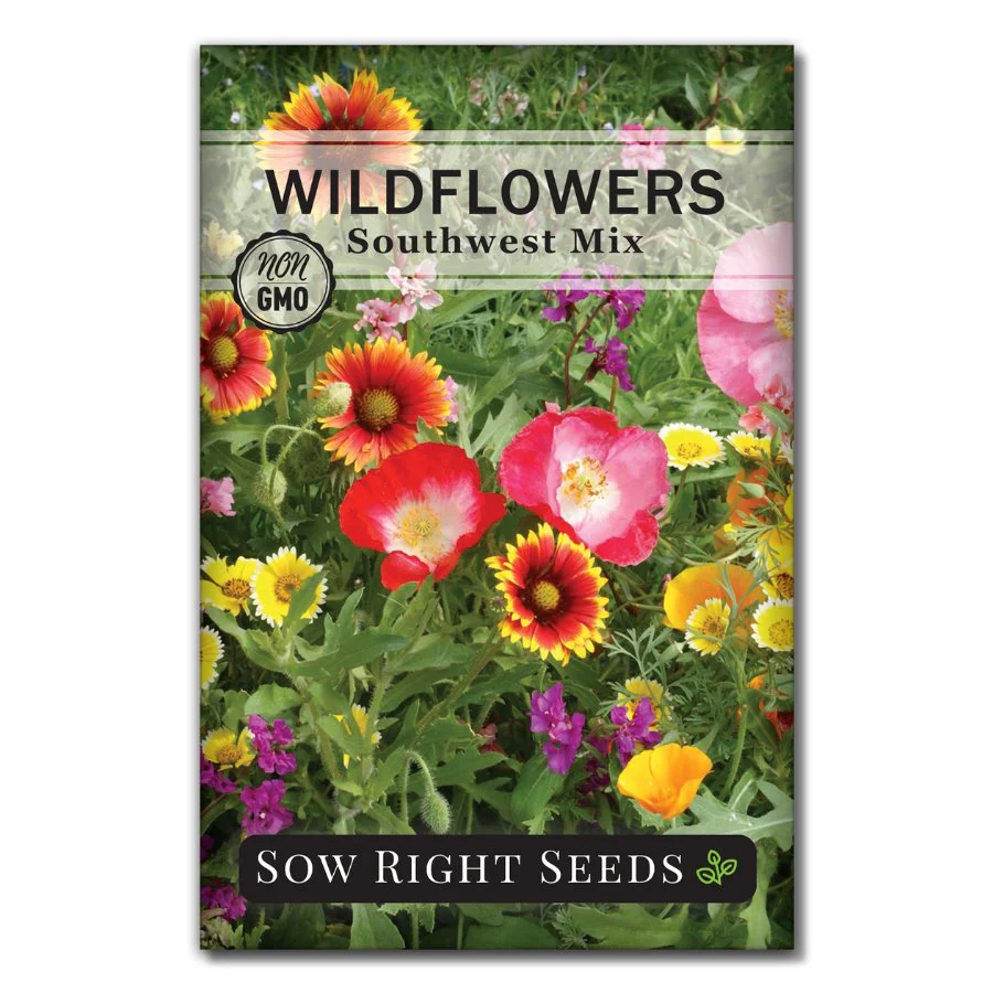 Southwest Wildflowers