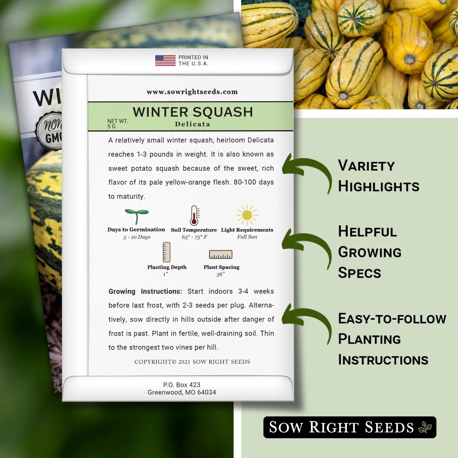 Delicata Winter Squash