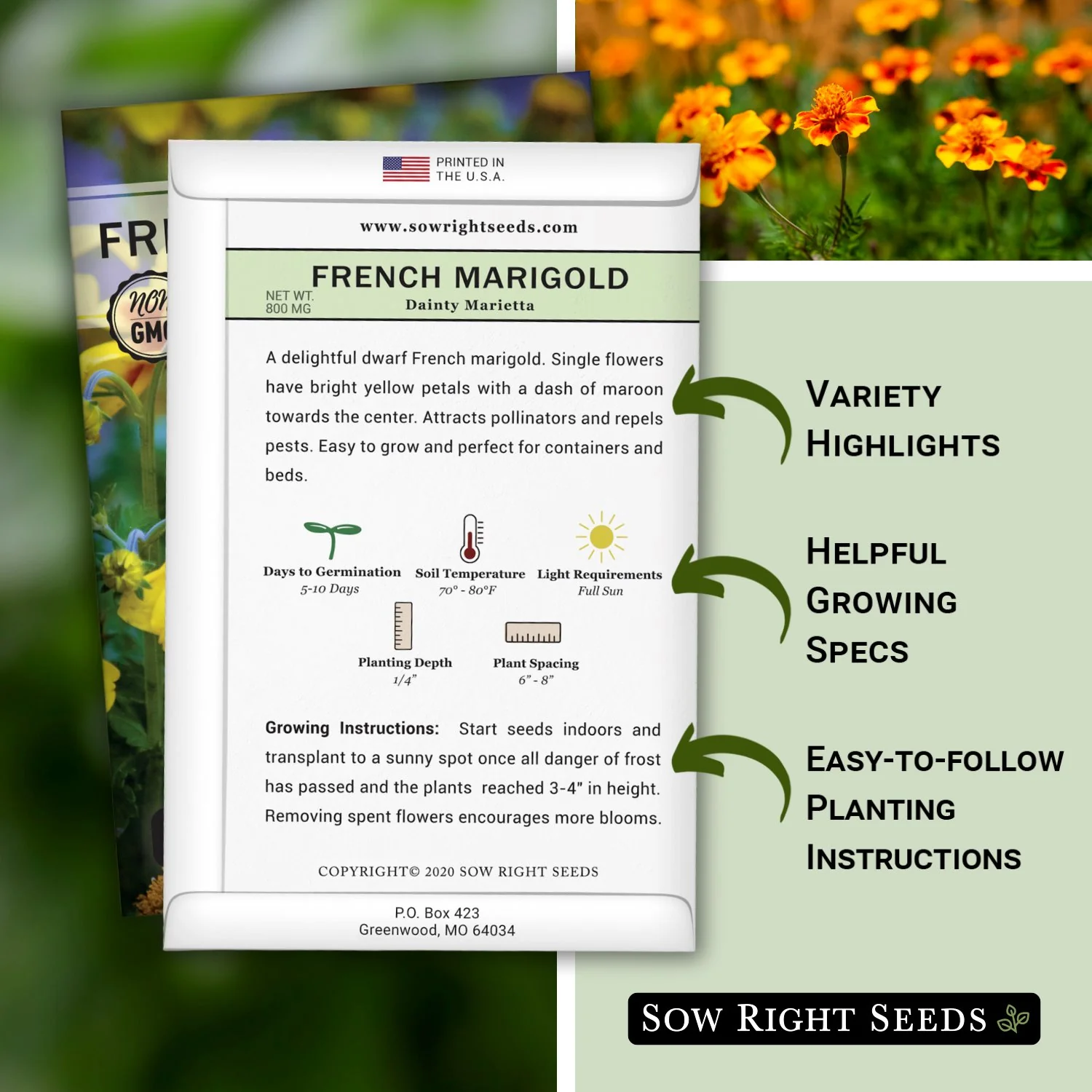 Dainty Marietta French Marigold