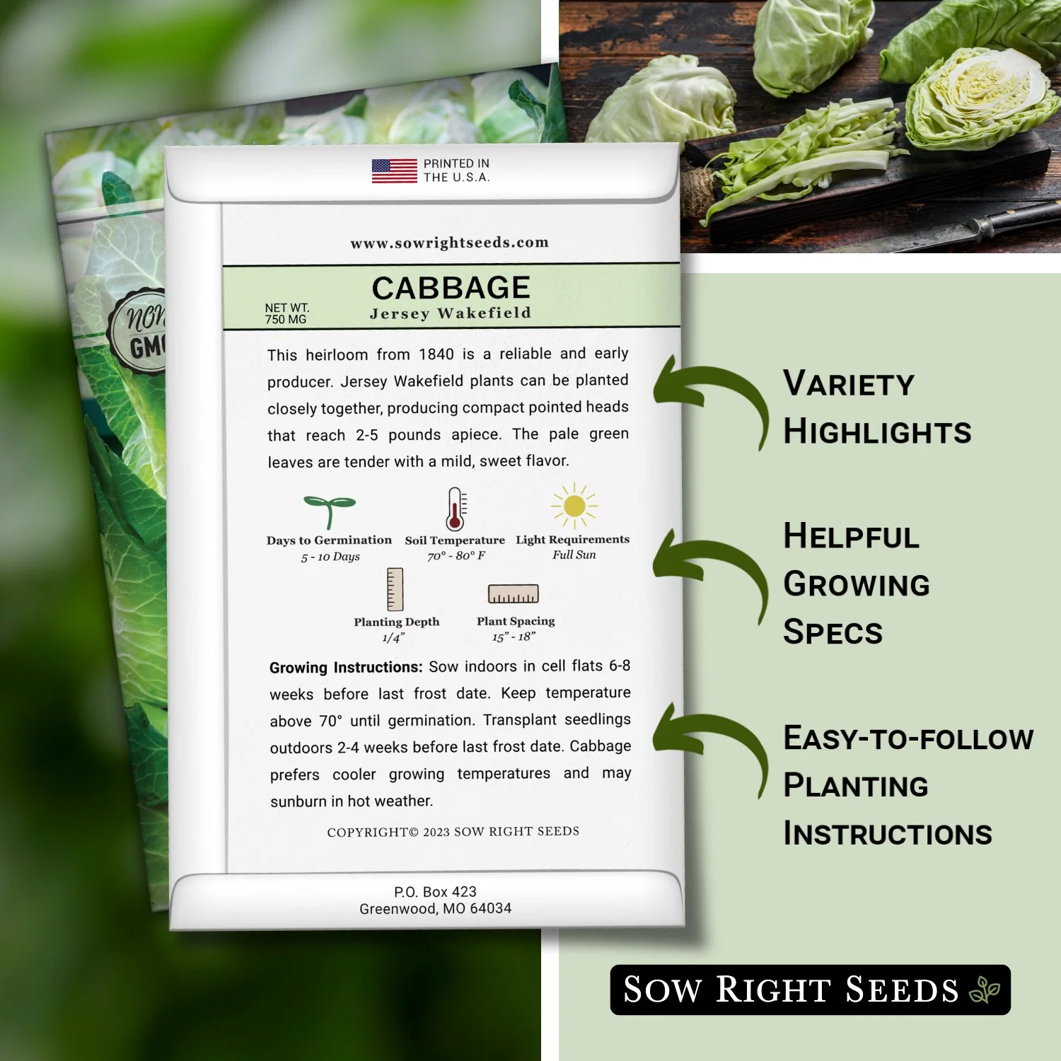 Jersey Wakefield Cabbage