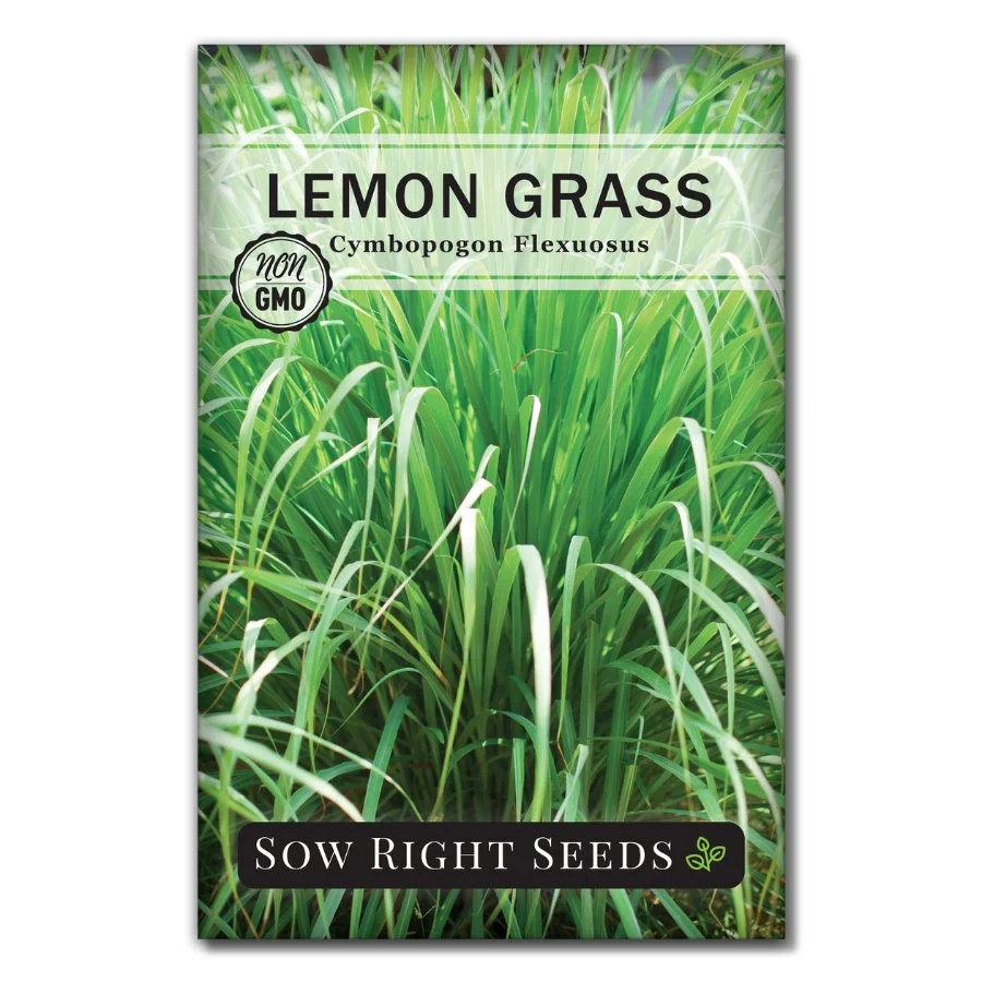Lemon Grass Seeds