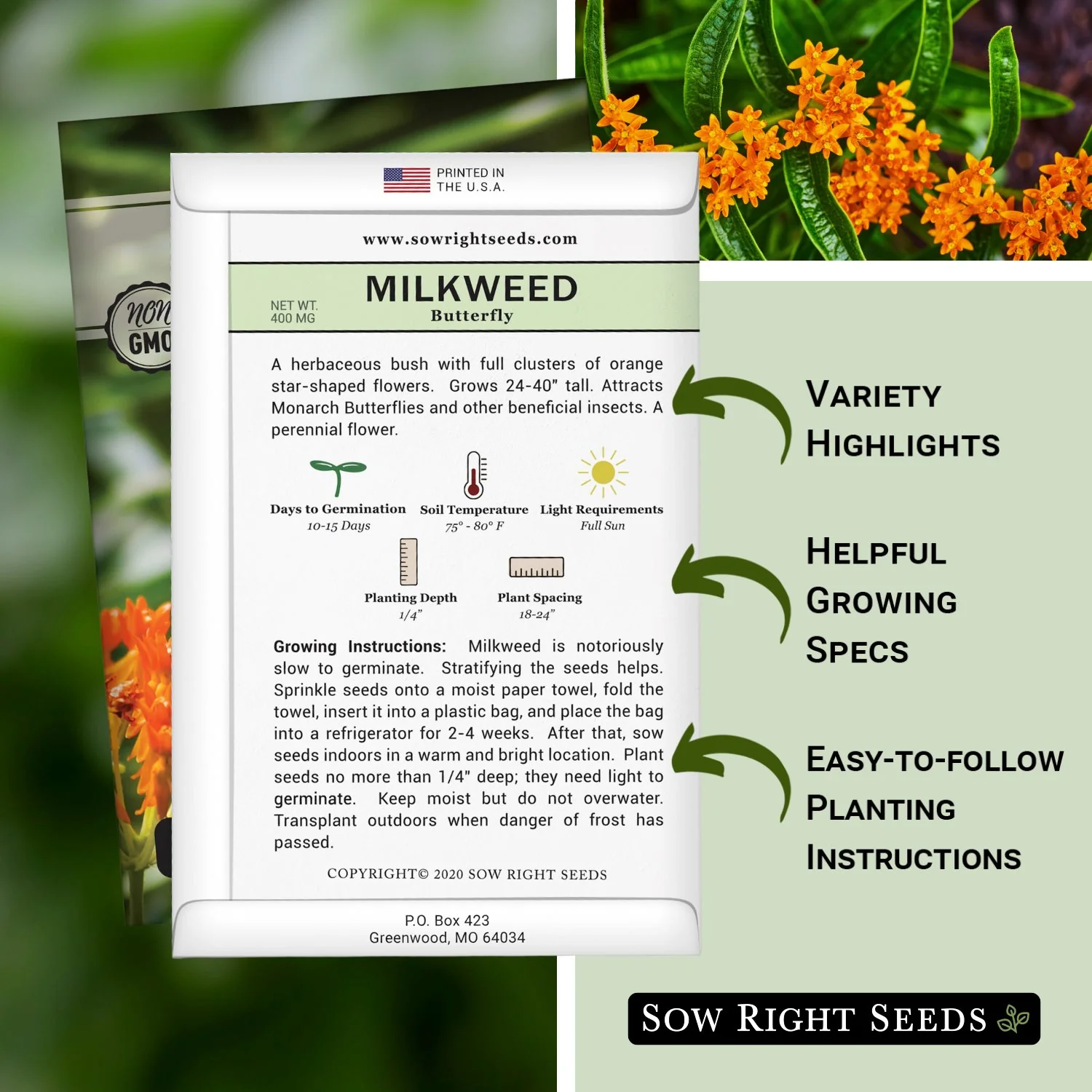 Butterfly Milkweed