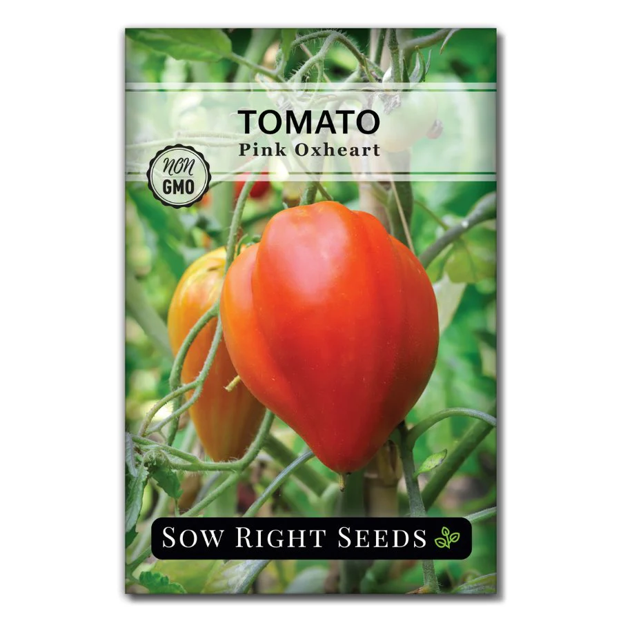 Pink Oxheart Tomato Seeds