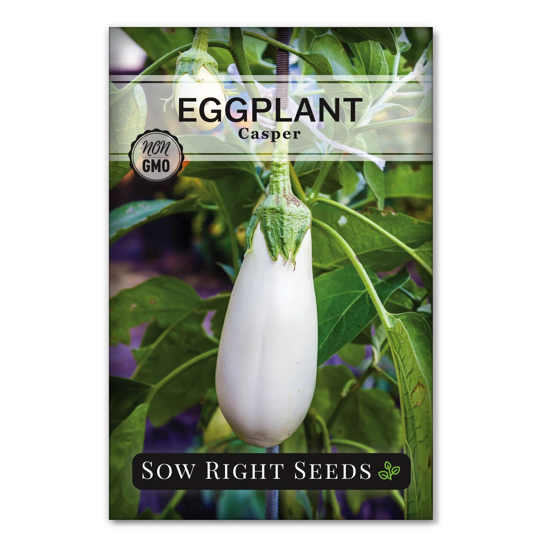 Casper Eggplant