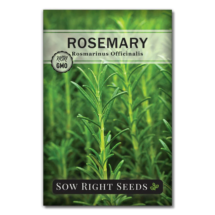 Rosemary