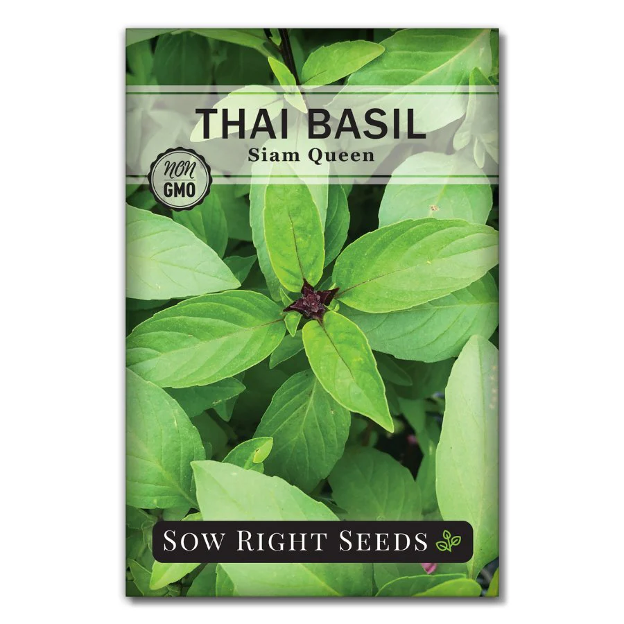 Thai Basil Seeds