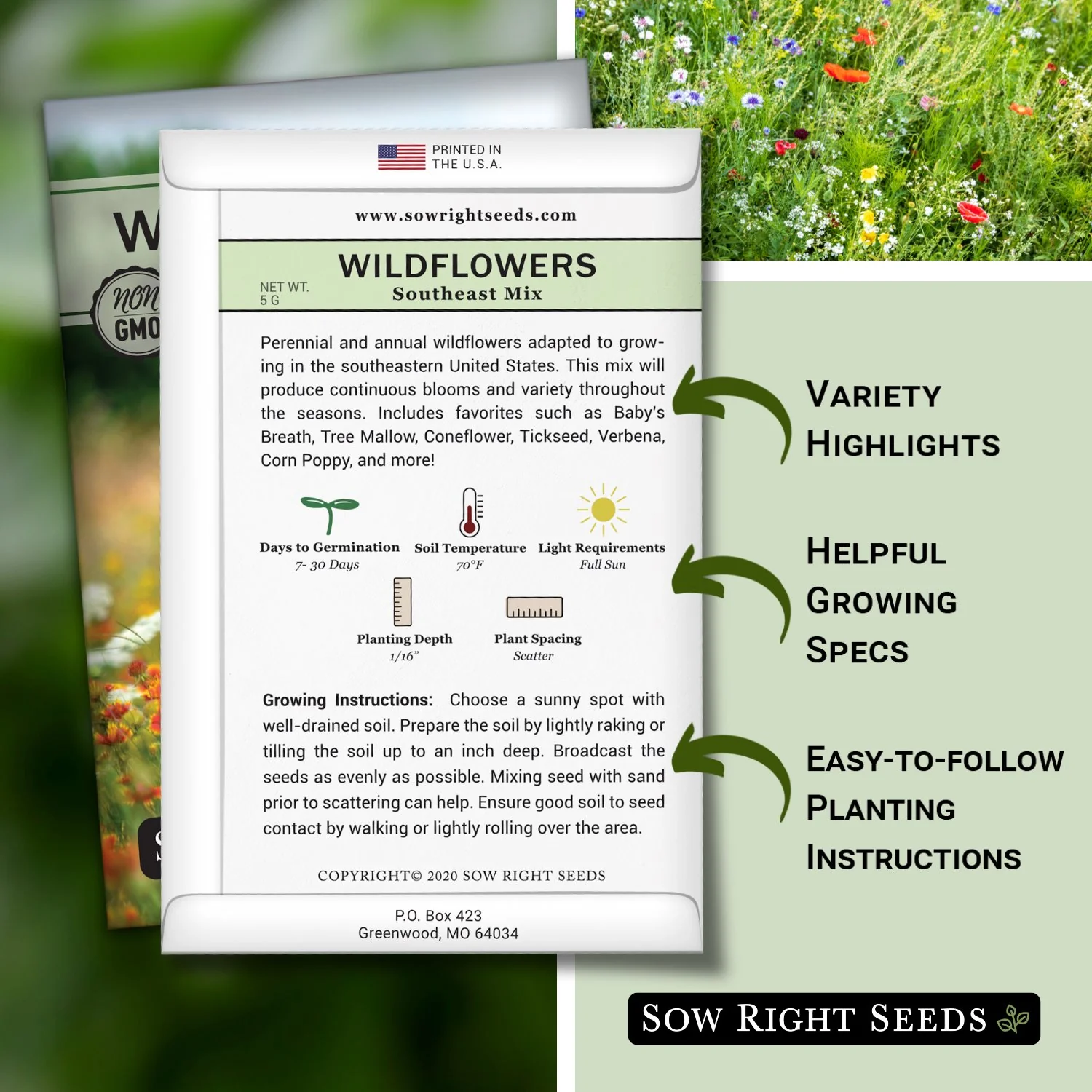 Southeast Wildflowers