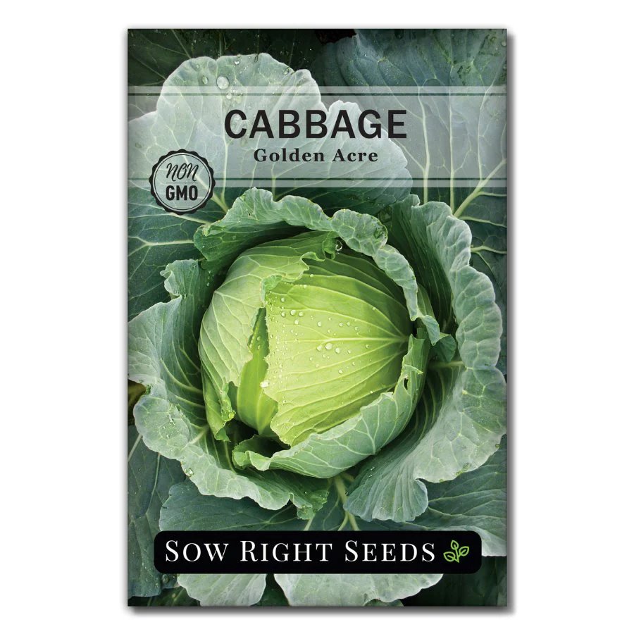 Golden Acre Cabbage