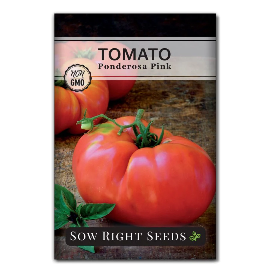 Ponderosa Pink Tomato Seeds