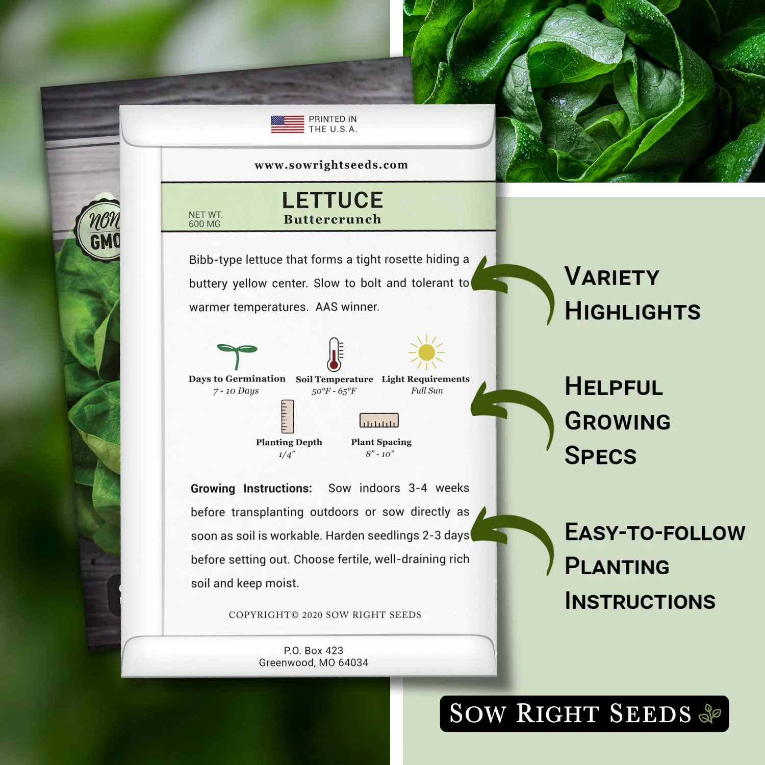 Buttercrunch Lettuce