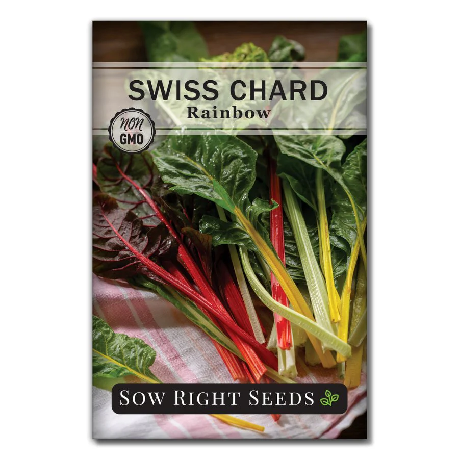 Rainbow Swiss Chard