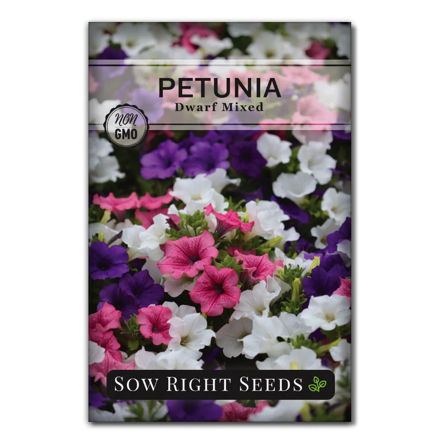 Dwarf Mixed Petunia