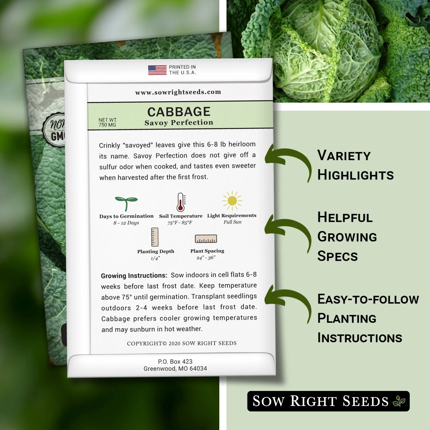 Savoy Perfection Cabbage