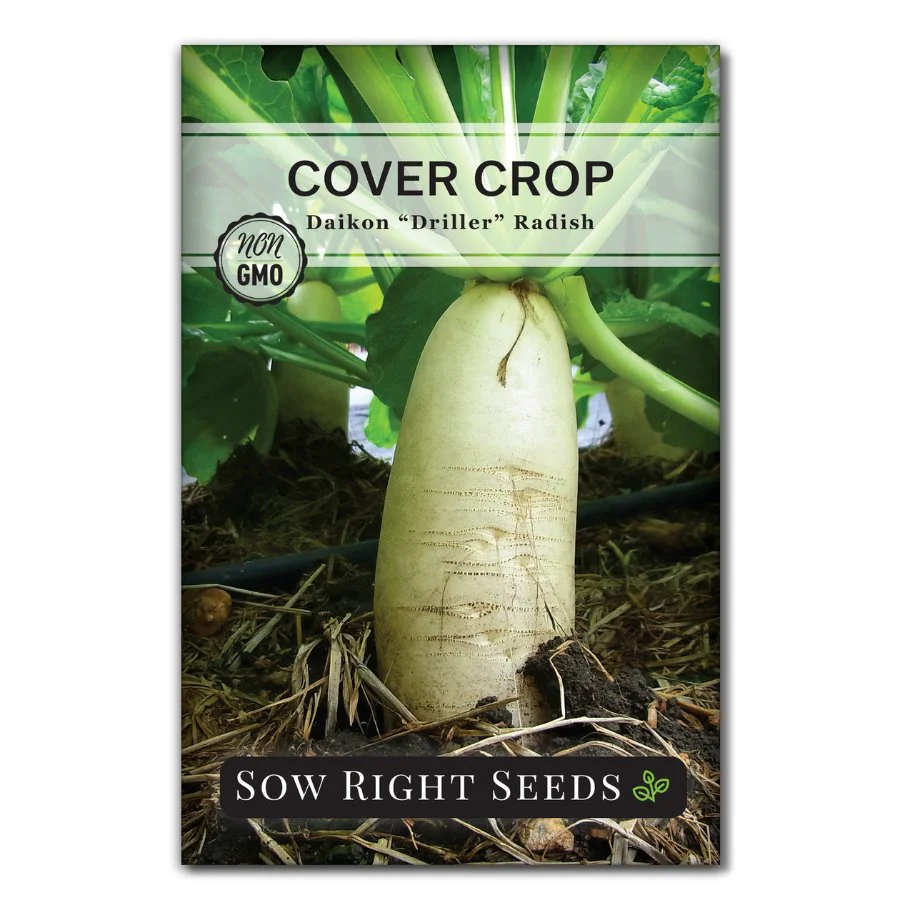 Daikon Driller Radish Cover Crop