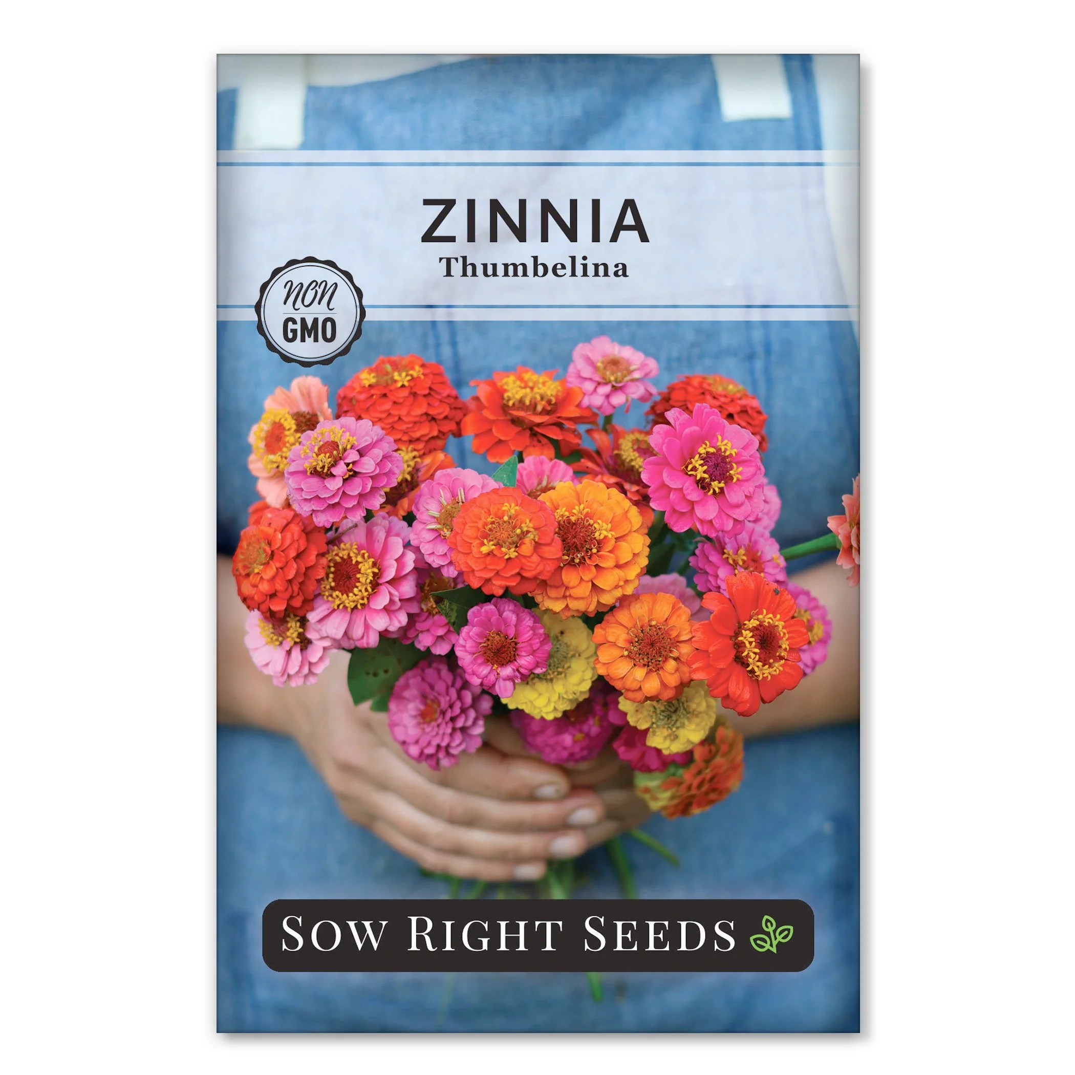 Thumbelina Zinnia
