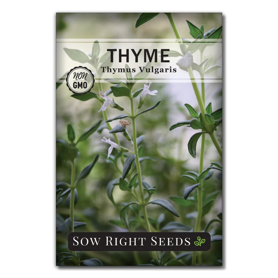 Thyme