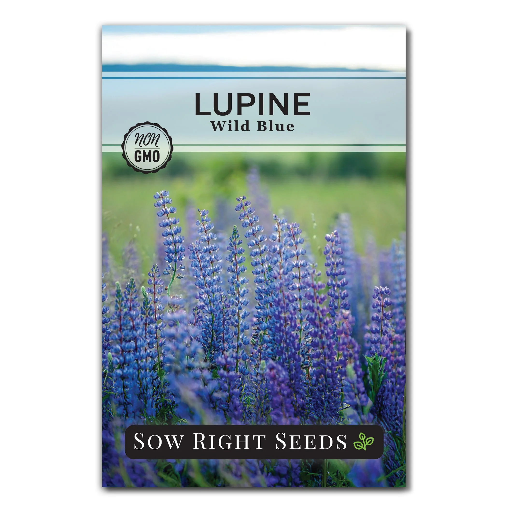 Wild Blue Lupine Seeds