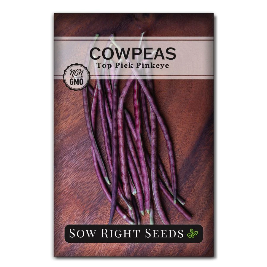 Top Pick Pinkeye Cowpea