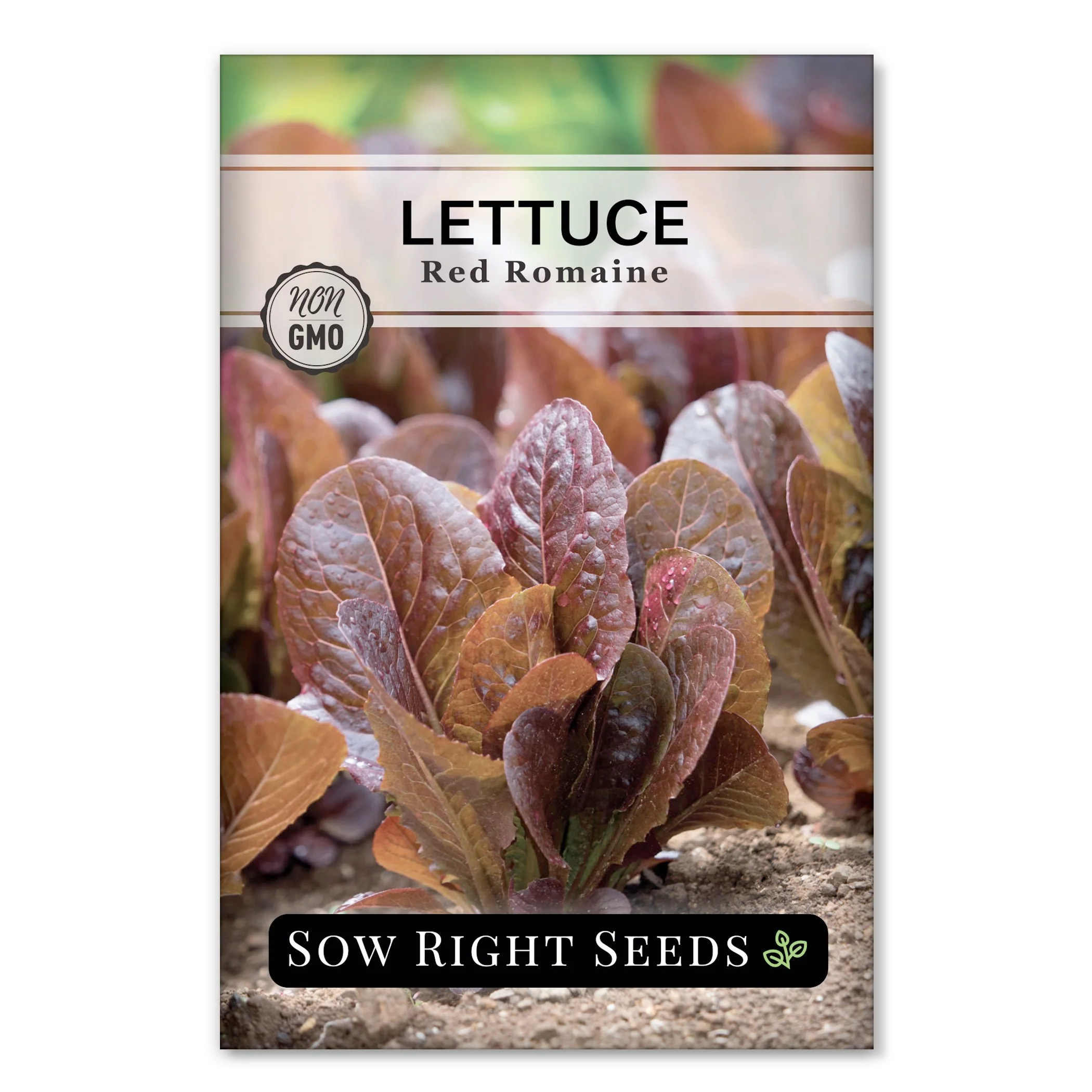 Red Romaine Lettuce