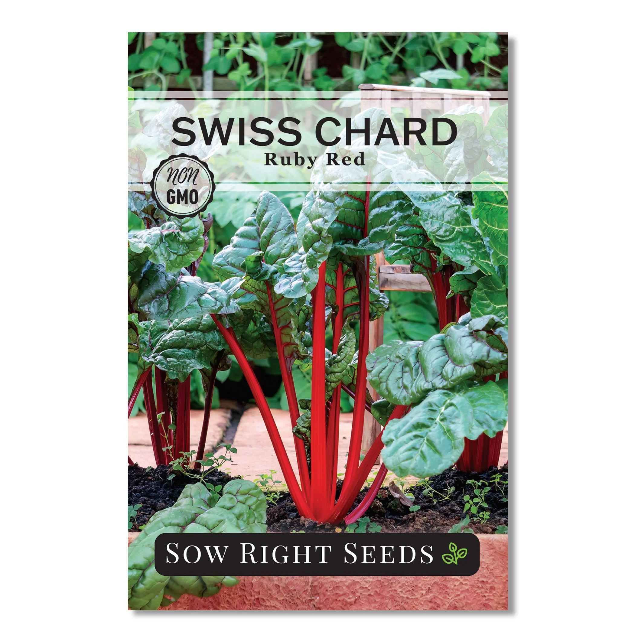 Ruby Red Swiss Chard Seeds