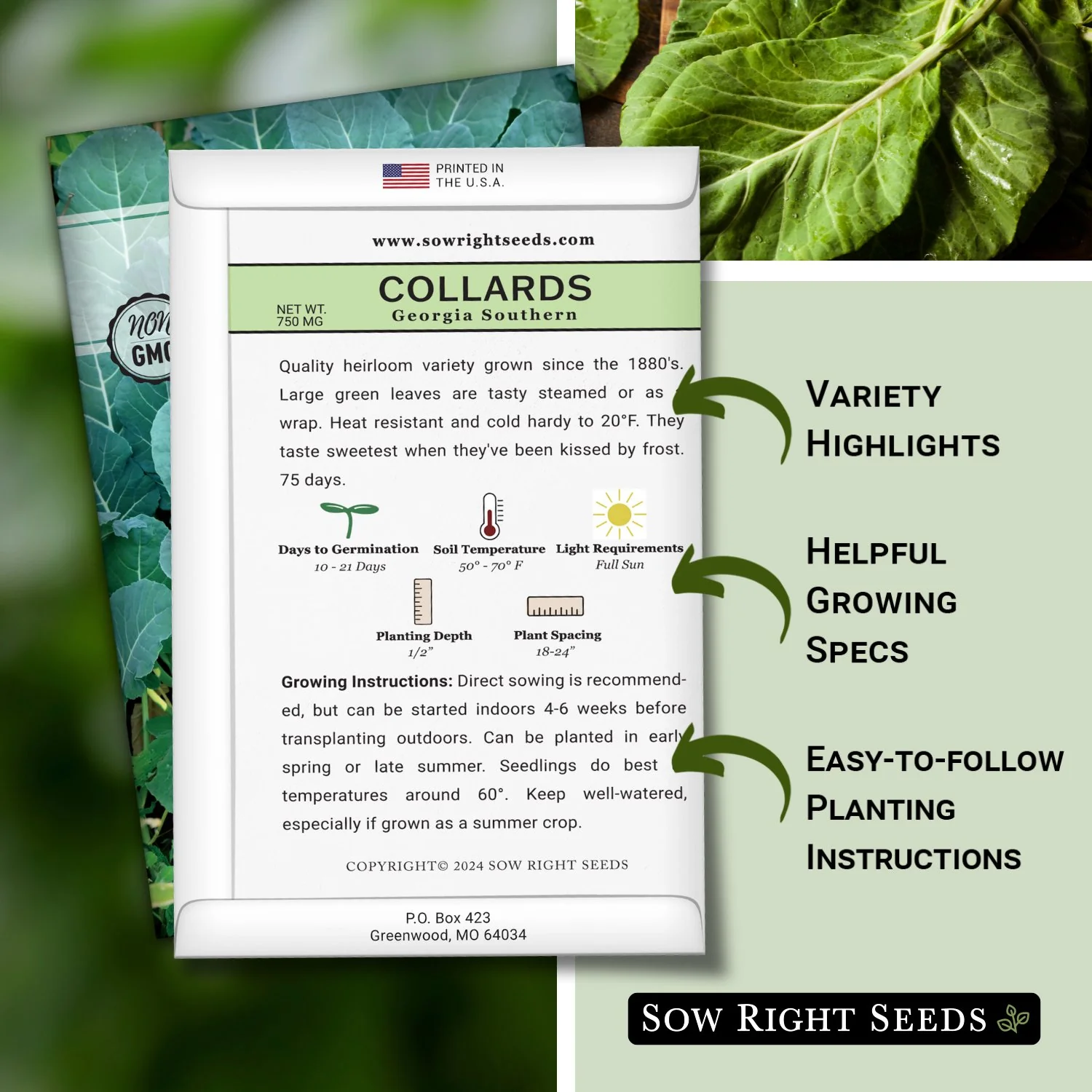 Georgia Southern Collards Seeds