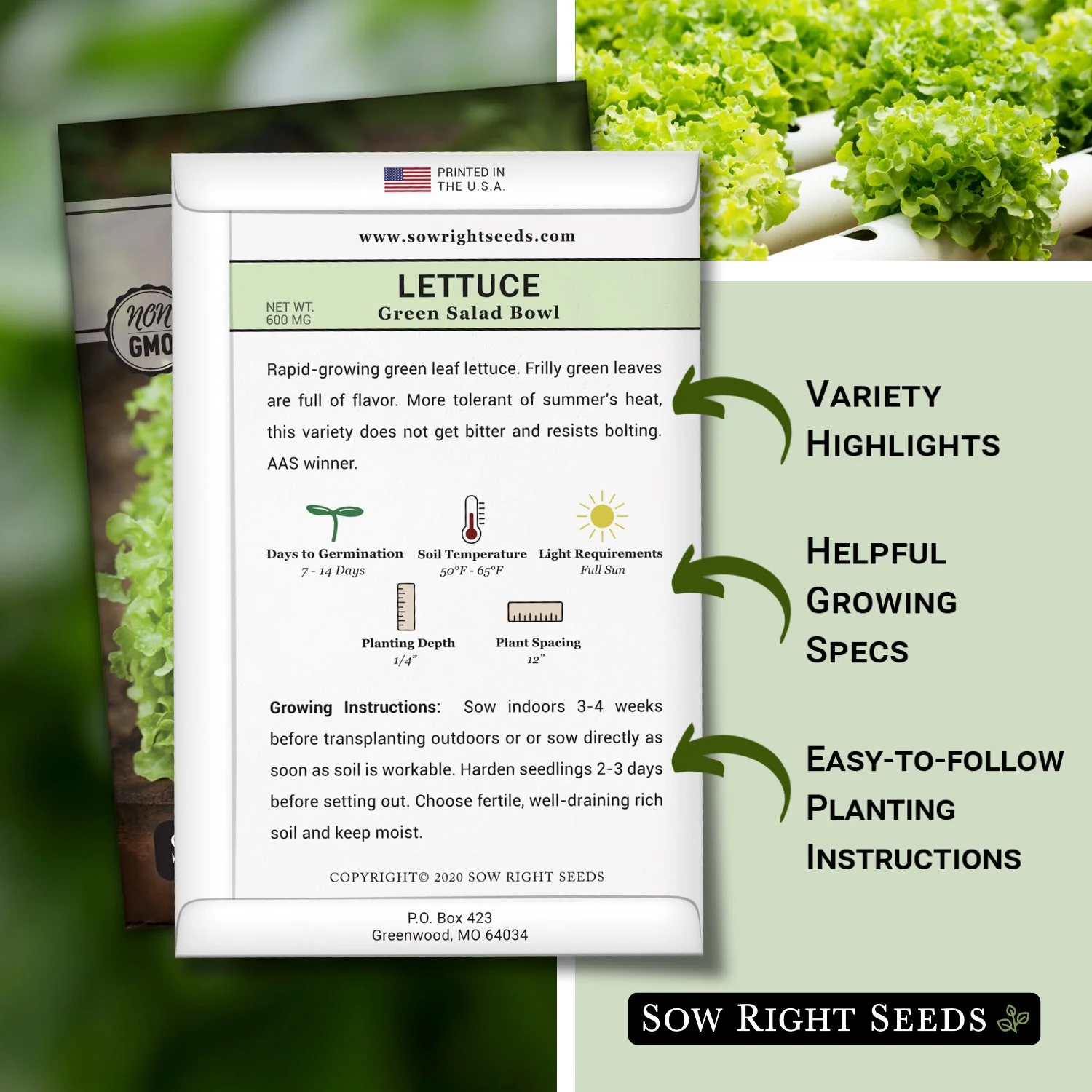 Green Salad Bowl Lettuce